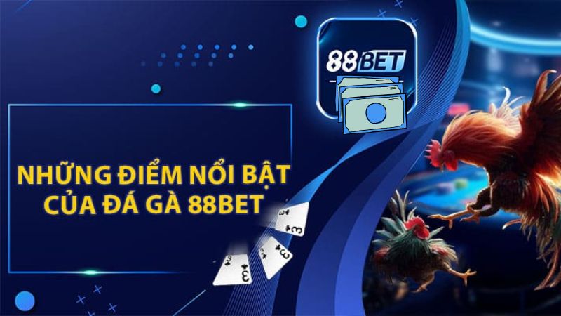 88Bet trả thưởng đá gà hấp dẫn người chơi